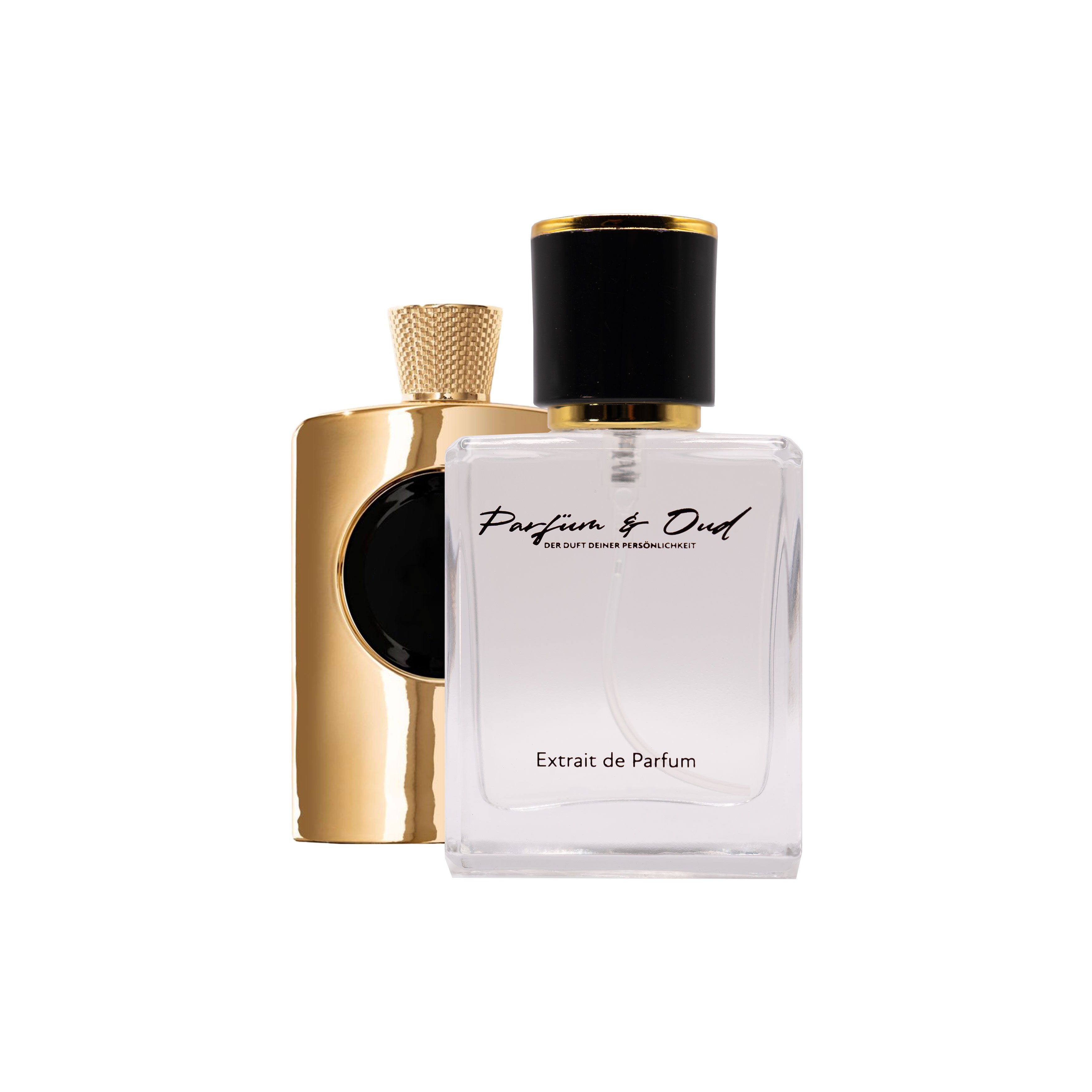 PS001 - King of the Save Oud