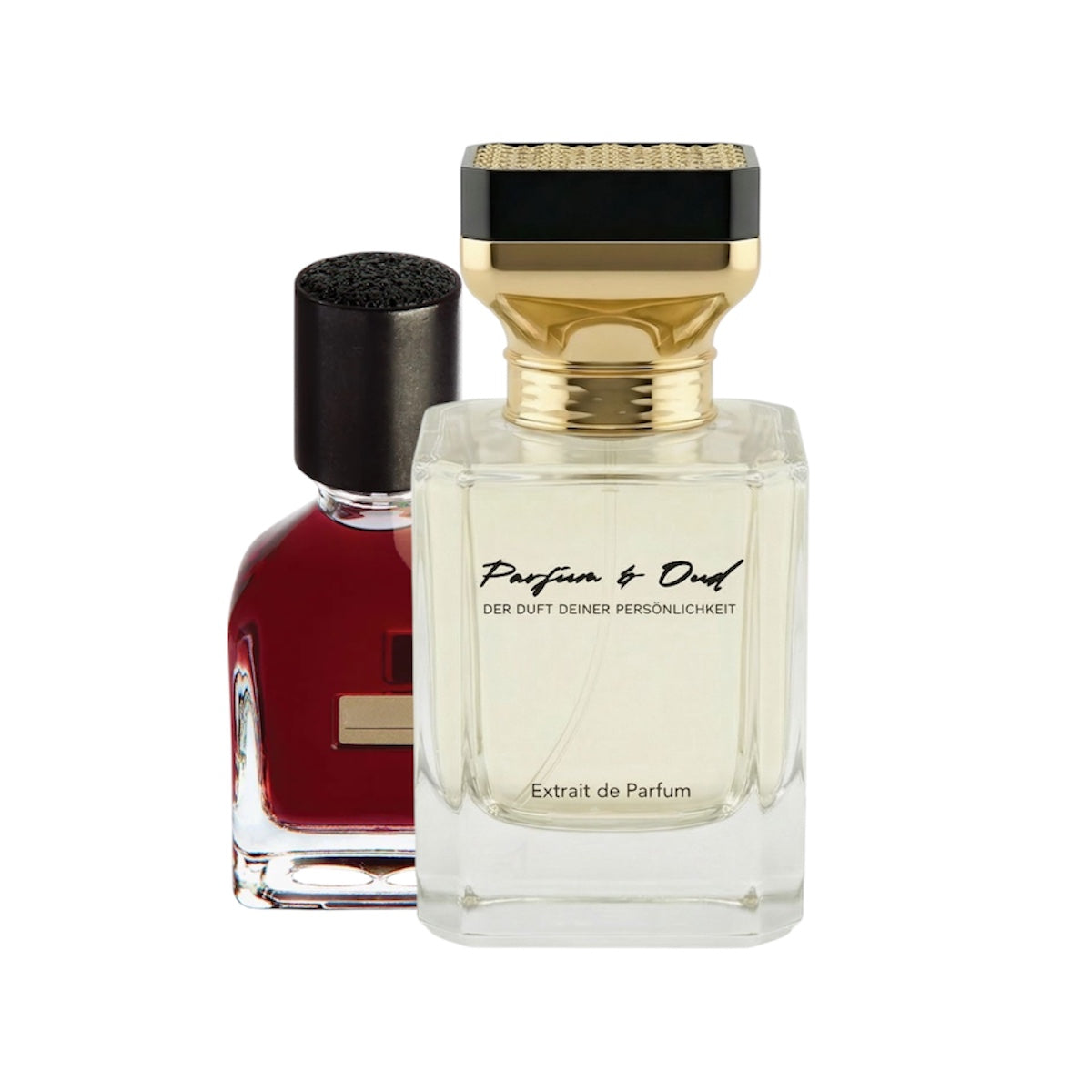 PS316 - Terroni France