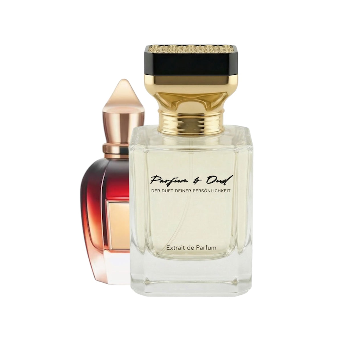 PS319 - Fares der Oud Star